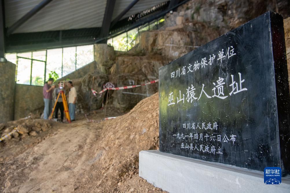 免费白菜彩金网